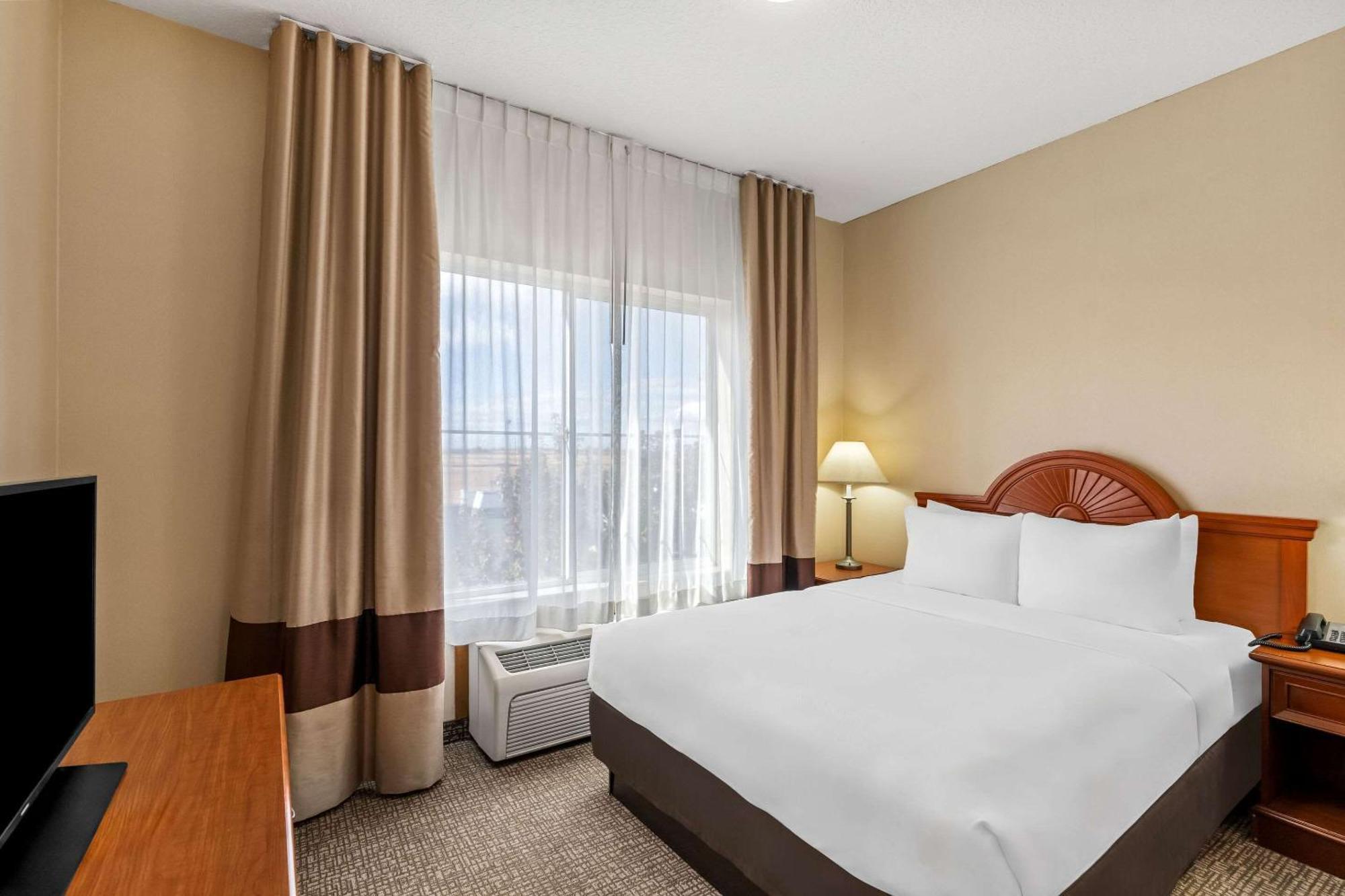 Comfort Inn & Suites Гермістон Екстер'єр фото